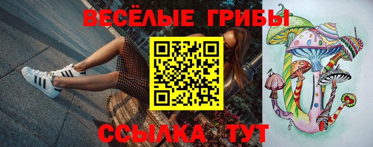 Галлюциногенные грибы прущие грибы  Вход с VPN  Ижевск 