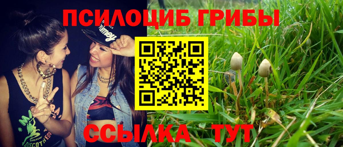 Псилоцибиновые грибы Psilocybine cubensis Ижевск